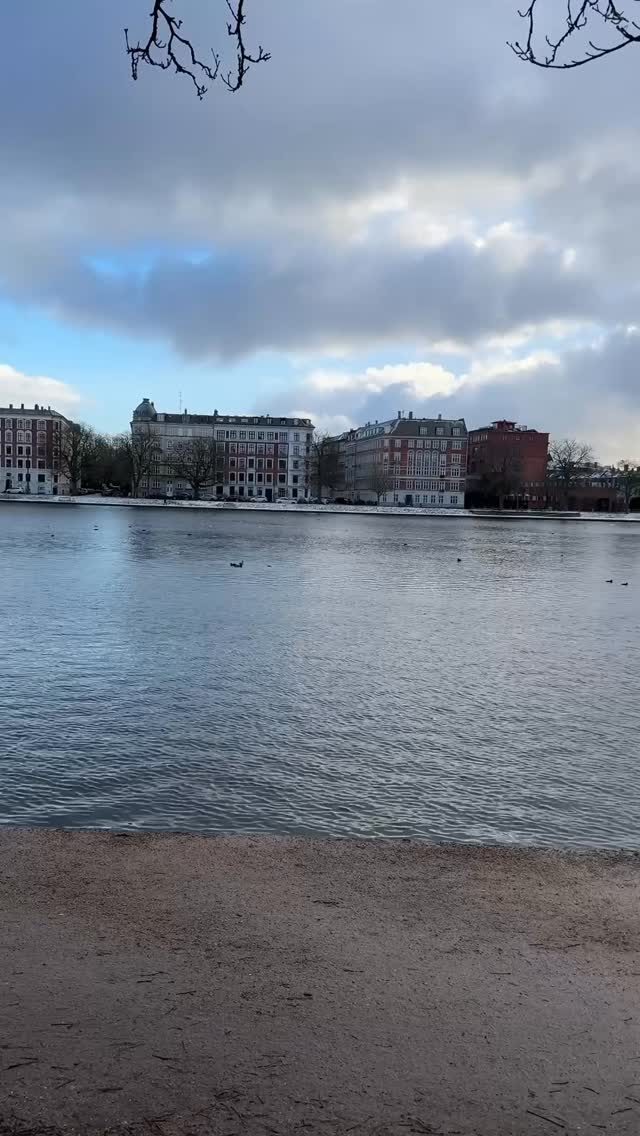 Your growth doesn’t happen in the spotlight, it’s in the small, quiet steps you take every day.
We think growth shows up in big, dramatic moments. But real growth happens in the moments no one sees. It’s in the habits you stick to when motivation fades, the boundaries you set for your well-being, and the way you keep showing up for yourself even when progress feels slow.
Those small steps may not seem like much in the moment, but they add up. They shape you, make you stronger, and move you closer to the person you’re becoming. Trust that the work you’re doing behind the scenes matters just as much as what happens in the spotlight.
#mondaymotivation #growthmindset #keepgoing #mindsetmatters #myrooftopstories