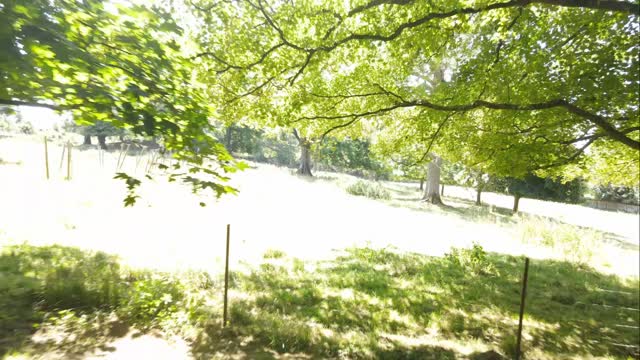 #domaine1687 #mariage #champetre #chic #boheme #nature #foret #domaine #evenement #guest #event #weeding #france