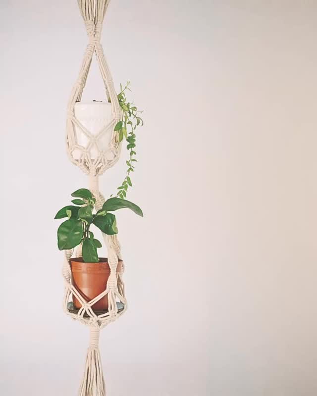 Rooted & Ready for Growth 🍃
Just like a thriving plant needs a solid root system, your body needs a strong foundation—especially when managing chronic pain or recovering from an injury.
At Made To Move Studio, we don’t rush the process. We focus on the fundamental principles of Pilates: alignment, core control, and precision. This isn’t just exercise; it’s smart rehabilitation that grounds you, giving you the stability to move through life with confidence, not compensation.
If you’ve been hesitant to move because of pain, we want you to know: You are safe here.
Our studio is more than just a place to practice; it’s your second home—a sanctuary where you can truly rejuvenate and rehabilitate your body. We guide you step-by-step, helping you plant your feet firmly on the path to lasting, pain-free movement.
Let us help you lay the groundwork for a stronger 💪🏻 , more resilient you.
#MadeToMoveSG #PilatesFoundation #MovementHeals #ChronicPainRelief #InjuryRehab #SecondHome #SGwellness #PilatesSingapore #RootedInPilates