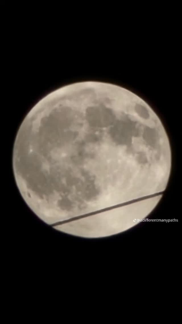 #harvestmoon