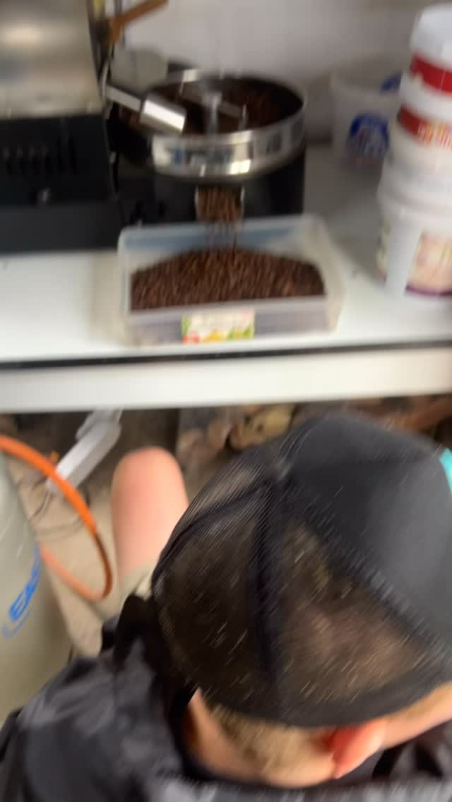 Legacy in the making. From green beans to golden roast - all in the family.
#legacy #family #familybusiness #coffeelover #coffeeshop #supportlocal #explorepage #explore #tourism