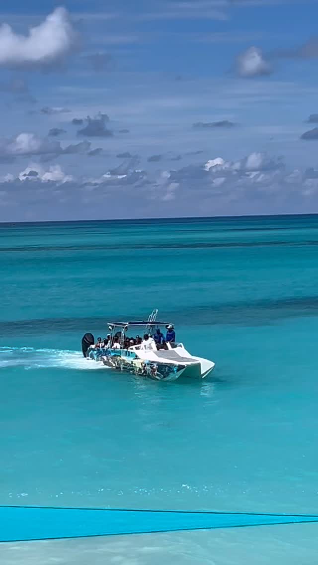 ITS A CELEBRATION 🎉 🎊🍾!! Our Tree House Bar is Now Open! Serving Beers, Wine, Daiquiris and Top Shelf Drinks! 🍷 Come and have a drink with us!
#cheers #celebration #treehousebar #nowopen‼️ #oasisocean7beachclub #roseisland #swimmingpigs #booknow #privatebeachclub🏝️ #bahamas