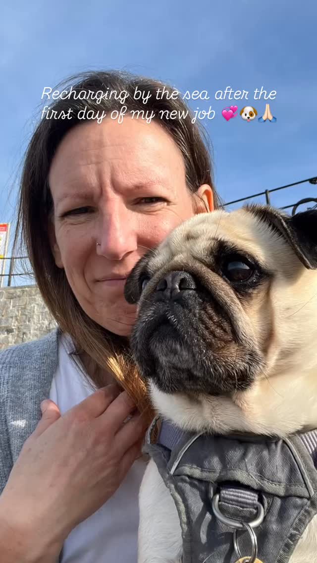 💫Starting a new job, a new rhythm, and a deeper understanding of life and self.
One step at a time, with an open 💓 #pausebreathedoyou #newbeginings❤️ #changeyourperspective