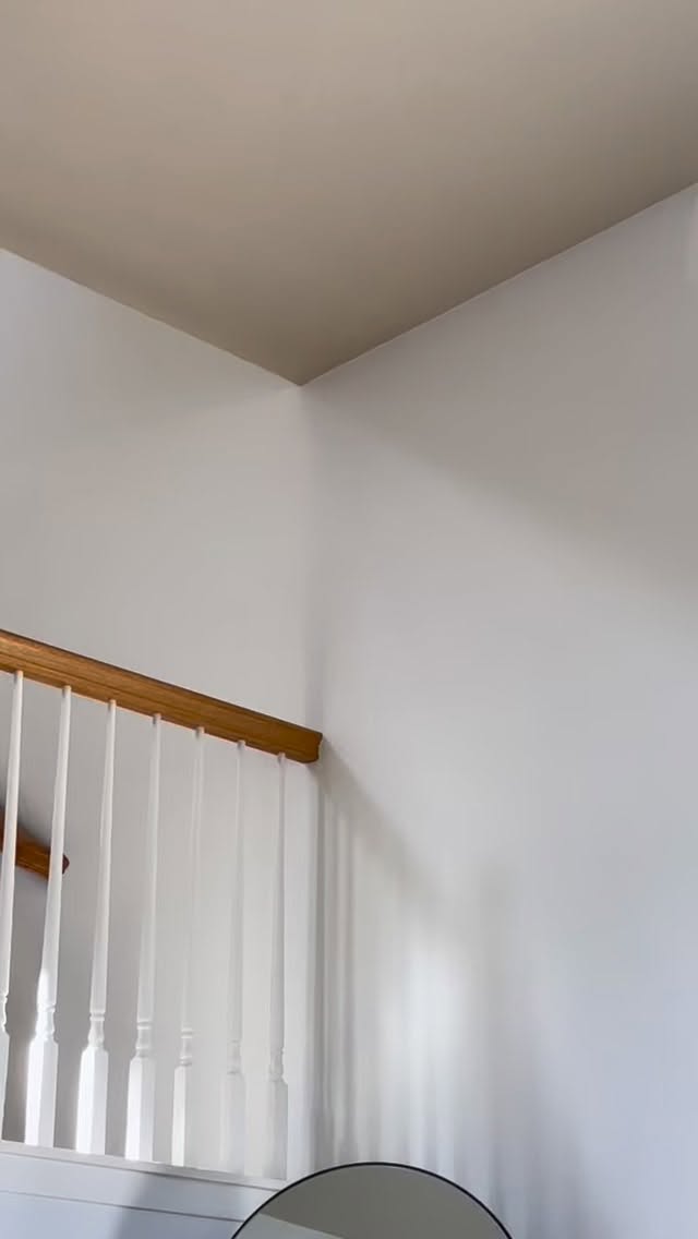 Monday reflections with Teddy…am I mirror dog or is mirror dog me?