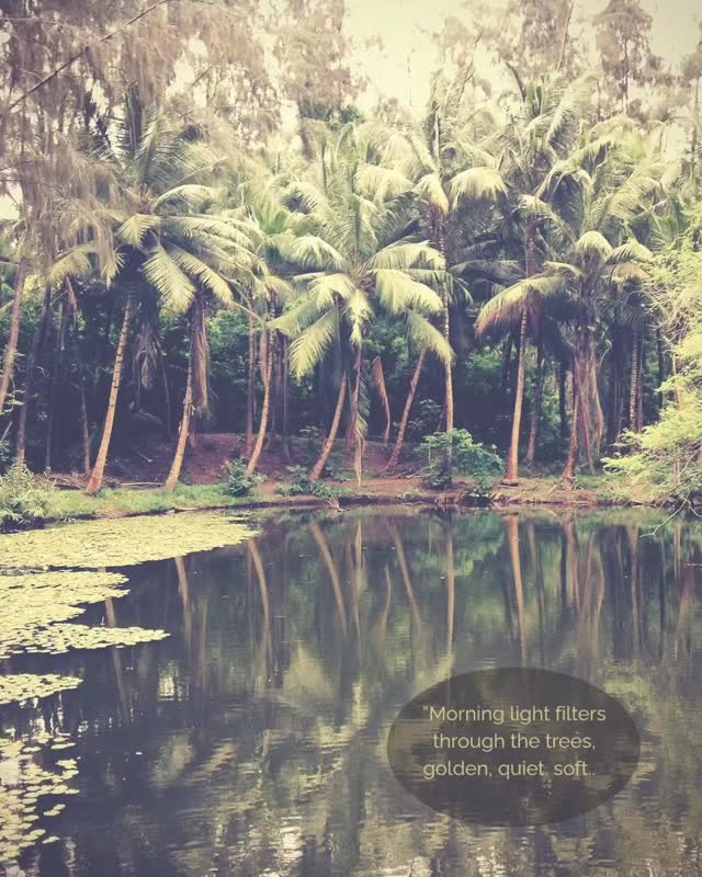 There's no checklist, no rush to see it all. Only moments that find you, when you let go of the need to plan every step.
That's what Lyratika means, to travel for the feeling, to remember that beauty lives the pauses between things.
https://www.lyratika.com/
#lyratika#travelwithsoul
#slowtravel#unexpectedemotions
#authenticjourneys
#transformativetravel
#feel