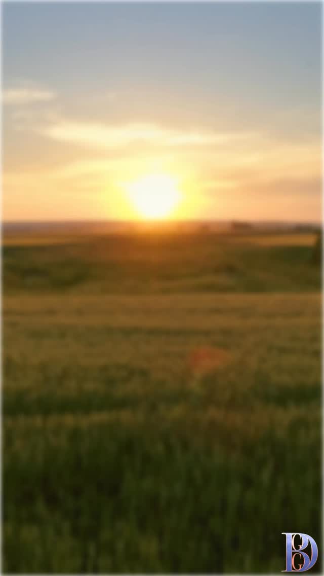 Wisdom isn’t just in what we know — it’s in what we choose to release.
This #BlackHistoryMonthUK, we honour our roots while freeing ourselves from what no longer serves us.
Growth is still part of the legacy. 🌿
#WisdomWednesday #BrumGyalieGyalDem #BHMUK #HealingIsHistory #BGGD