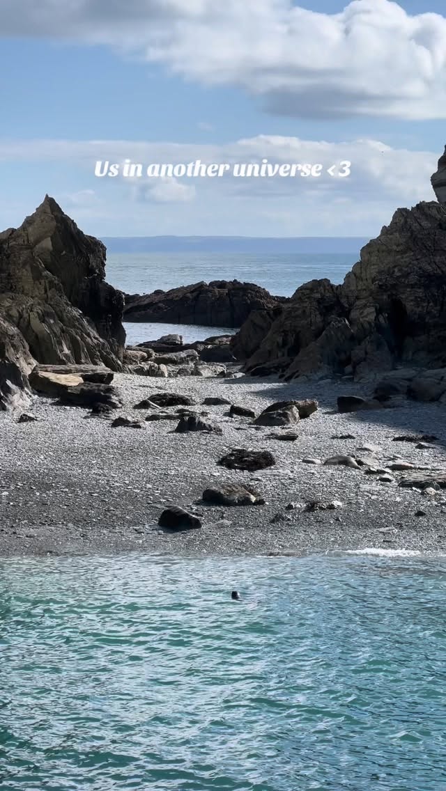 🥺🦭🥺 #seal #ilfracombe #northdevon #boattrips #visitdevon #lovenorthdevon #lundyisland