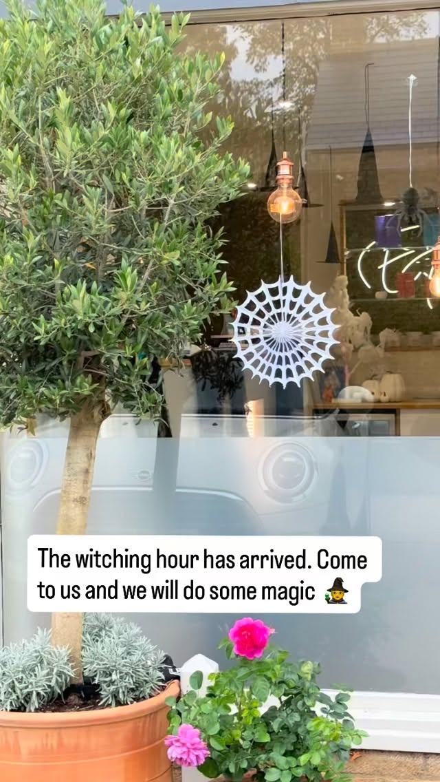 🎃✨ Step into the spell of beauty at English Rose Beauty House — where a touch of Halloween magic meets flawless glam! 🕸💅💄
Because who needs a broom when you can leave looking bewitching? 💋🖤 #HalloweenGlam #SpookySeasonBeauty #EnglishRoseBeautyHouse #CambridgeSalon #CambridgeBeauty #HalloweenVibes #WitchyGlam #BooBeautiful #GlamSpells #BeautyMagic #SpookyChic #SalonMagic #AutumnBeauty #CambridgeMakeup #CambridgeNails #HalloweenReady #TreatYourselfNotTrick #CambridgeGirls #BeautyWithASpell #EnglishRoseCambridge