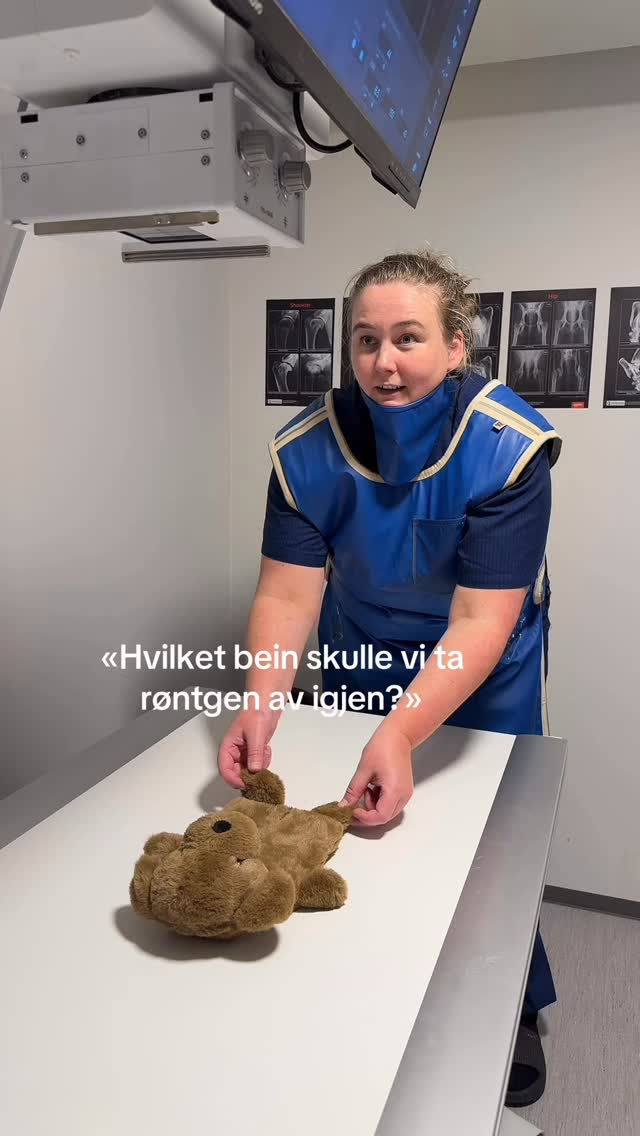 Vi vet forskjellen på høyre og venstre, men bare når ingen ser på 😎 #dagenshumor