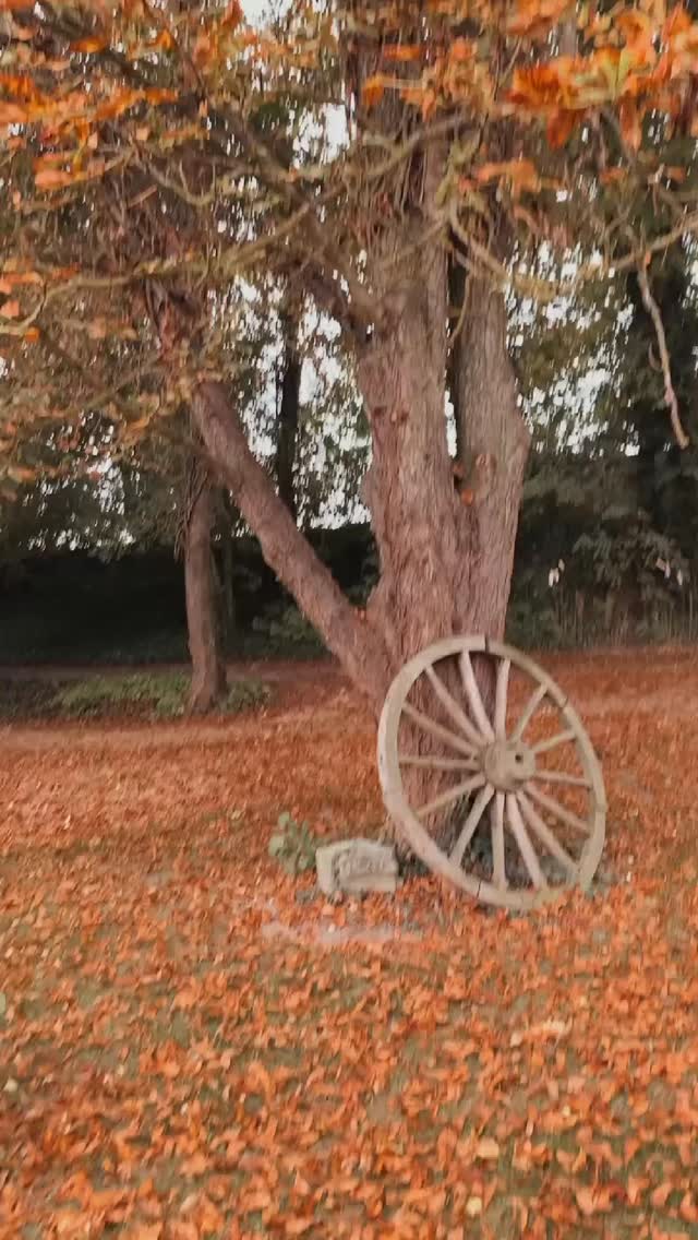 Il y a ces journées d’octobre où tout bascule 🍁
La lumière devient dorée, les mains cherchent les tasses chaudes, et le domaine se prépare doucement à la saison froide.
C’est toujours le même rituel… et pourtant, chaque année, c’est magique.
Et toi, c’est quand que tu sens que l’automne est vraiment là ?
.
.
.
.
.
#domainedevaugency #slowcontent #slowvibes #slowlife #instapoetique #storytellingvisuel #instantpoetique #ambiancedautomne #momentdoux #escapadeauthentique #petitplaisirdautomne #vieauthentique