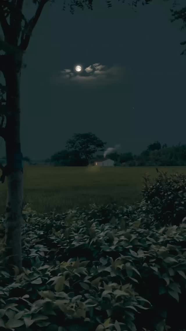 🌑 The New Moon is a time to pause, reset, and welcome new beginnings.
Join @misscarrieparker on 21 Oct, for an evening of intention setting, meditation, and sound healing to align with the energy of the lunar cycle ahead, at the lovely @hartshoreditch.
Spaces are limited — book your place now. Link in bio!
NEW MOON CEREMONY
🗓️ Tuesday, 21 October
🕚 7:30PM - 9:00PM
📍 Hart Hotel, Shoreditch
🎟️ Book: fireandalchemy.com/all-events