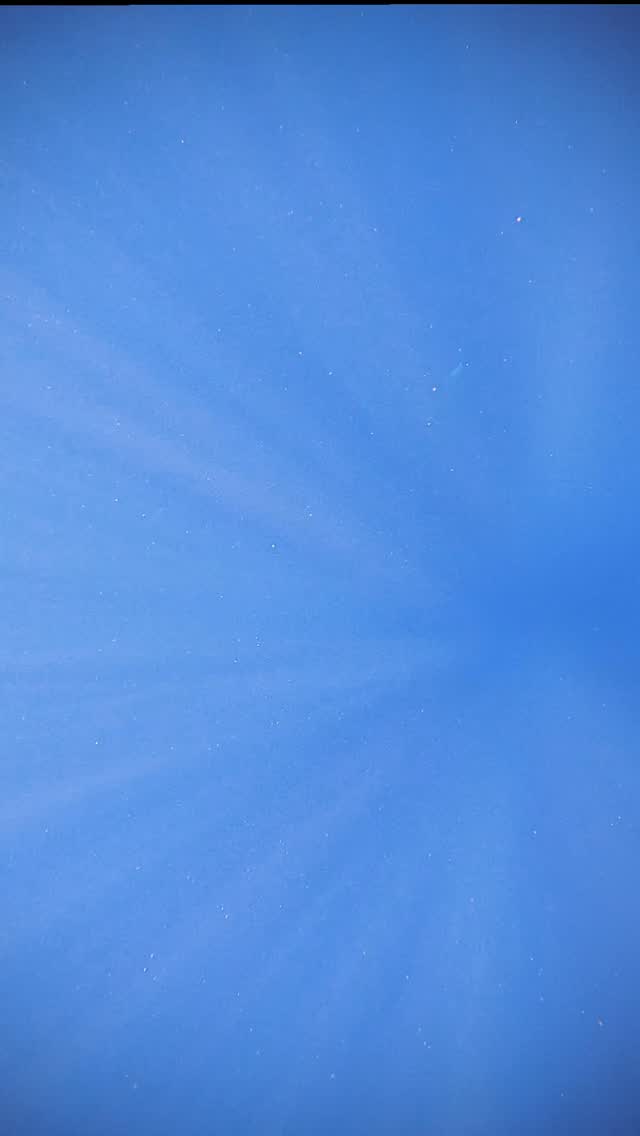 🎥✨ Imagina esto: estás en medio del Pacífico, mar abierto, en plena Expedición de Bolas de Carnada… y de pronto, aparece un delfín solitario.
Un instante después, ¡llegaron los refuerzos! El grupo nos rodea en el agua.
Nadamos junto a ellos, escuchando ese sonido tan característico de los delfines 🐬🔊, una comunicación increíble que pocas veces se puede vivir tan de cerca.
Los delfines nariz de botella son conocidos por su inteligencia y por formar grupos sociales muy unidos. En Bahía Magdalena y el Pacífico los encontramos siguiendo cardúmenes, jugando entre las olas y a veces… regalándonos momentos mágicos como este.
👉 Ven a vivirlo con nosotros, cada expedición es distinta, pero la naturaleza siempre sorprende.
🌐 www.murillosbrosadven-tours.com
📩 murillosbros@gmail.com
📲 WhatsApp: +52 613 116 8050
#ExpediciónBolasDeCarnada #MurillosBrosAdventours #MagBay #BahíaMagdalena #Ecoturismo