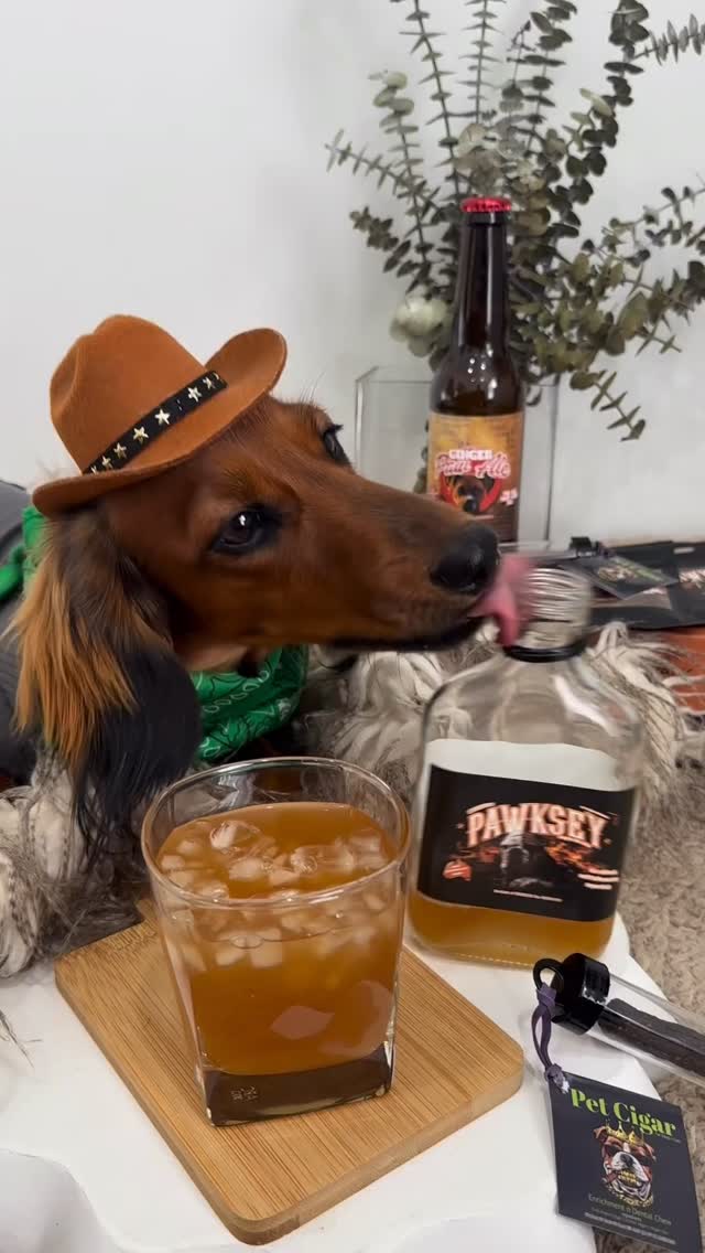 Saturday’s are for BEVY’s!! 🍹 who else is enjoying a nice cold LBARKERY BREW like @dachshund_penny_polly_peterpan 🌟