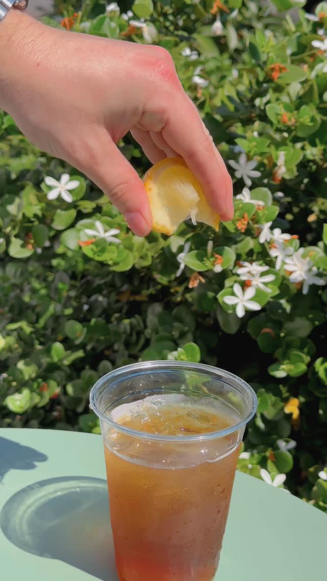 The drink of the summer has landed in Bowen Hills.
House made Peach Iced Tea—non-alcoholic, on tap, and absolutely flying out the door.
Crisp, juicy, all-day sippable.
(P.S. its a cheaper than a coffee which really means you’re saving money by coming in.) 🫢🍑🧊