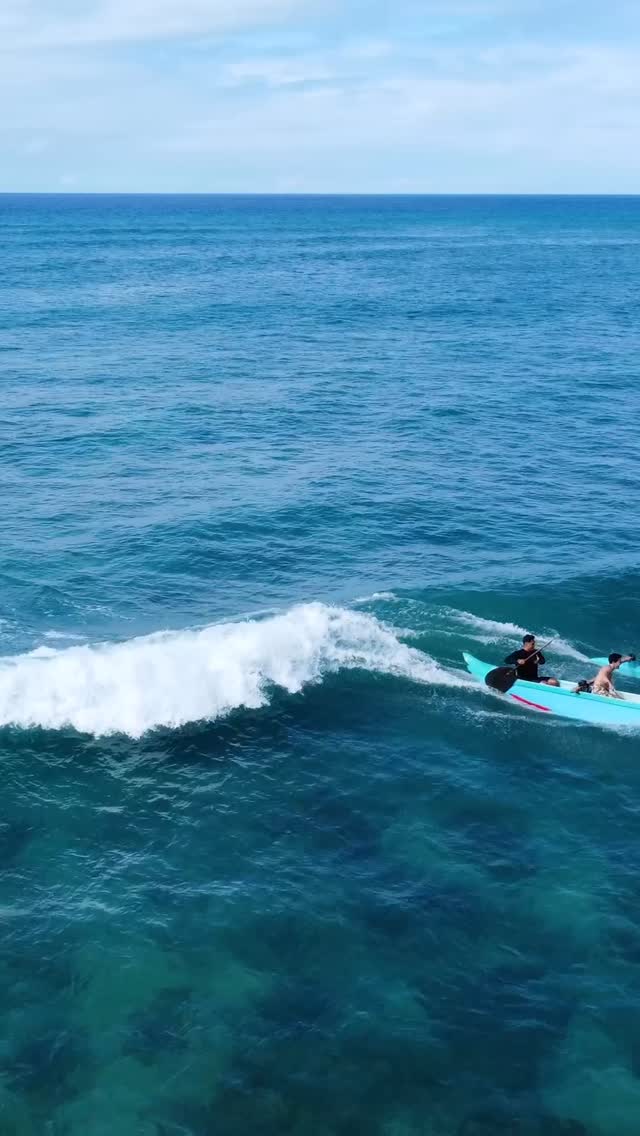 Let’s go catch some fun waves on this beautiful Aloha Friday!
#kapuawaaexperiences #waikiki #oahu #oahulife #hawaii #alohafriday #luckyweliveinhawaii