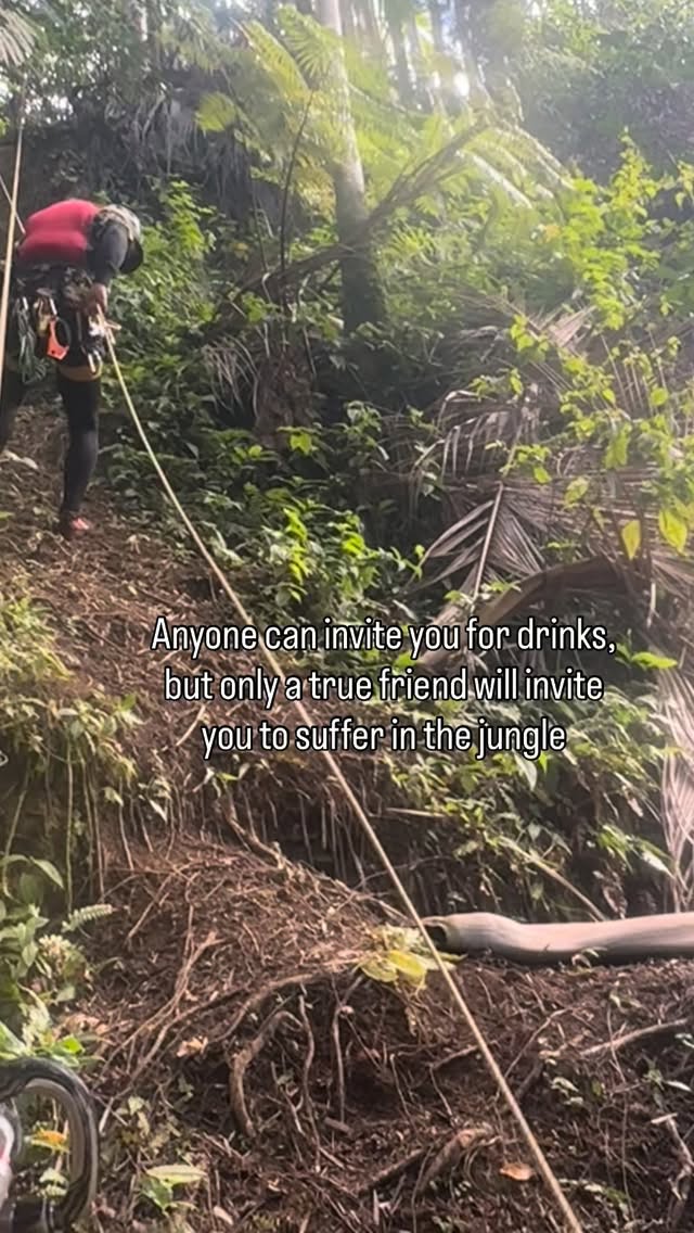 Tag your adventure buddy in the comments!
Tours run daily
Find out more or sign up today
islandmountainguides.com
#hawaii #adventuretravel #jungle #waterfallrappelling