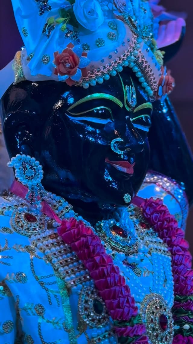 This year we welcome Shrinathji and Shri Yamuna Maharani Maa at our Sharad Poonam 🤍
#redlotusevents #garba #navranginavratri #sharadpoonam #navratri