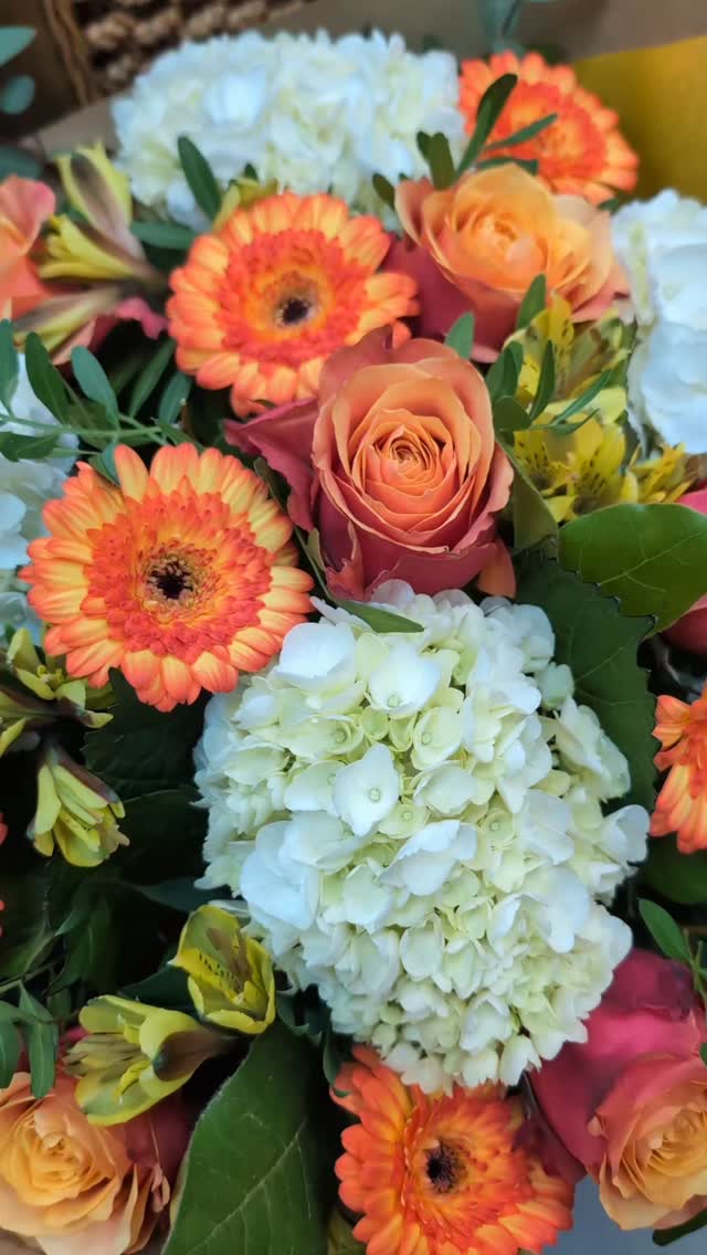 Un grand bouquet rond plein de chaleur et de lumière ☀️💛
Composé d’hortensias, de germinis, de roses et d’alstroemérias, il célèbre la joie, l’énergie et la bonne humeur ! 🌻🍊
Des tons jaune et orangé qui illuminent la journée, parfaits pour offrir un sourire ou égayer un intérieur 🌷✨
#fleuriste #fleur #florist #flower #nice #bouquet #creationflorale #artisanfleuriste #fleurs #jaune #orange #hortensia #germini #rose #alstroemeria #couleur #joie #fleursdenice #flowersofinstagram #emotionenfleurs