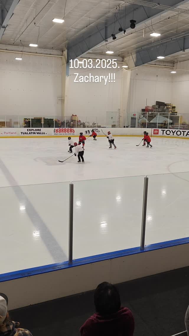 Zachary is getting much better!!
Following big bro's step.
Can't wait to see them playing in the same team!
NHL? Haha
#mysonshine #hockey#hapababy #portland