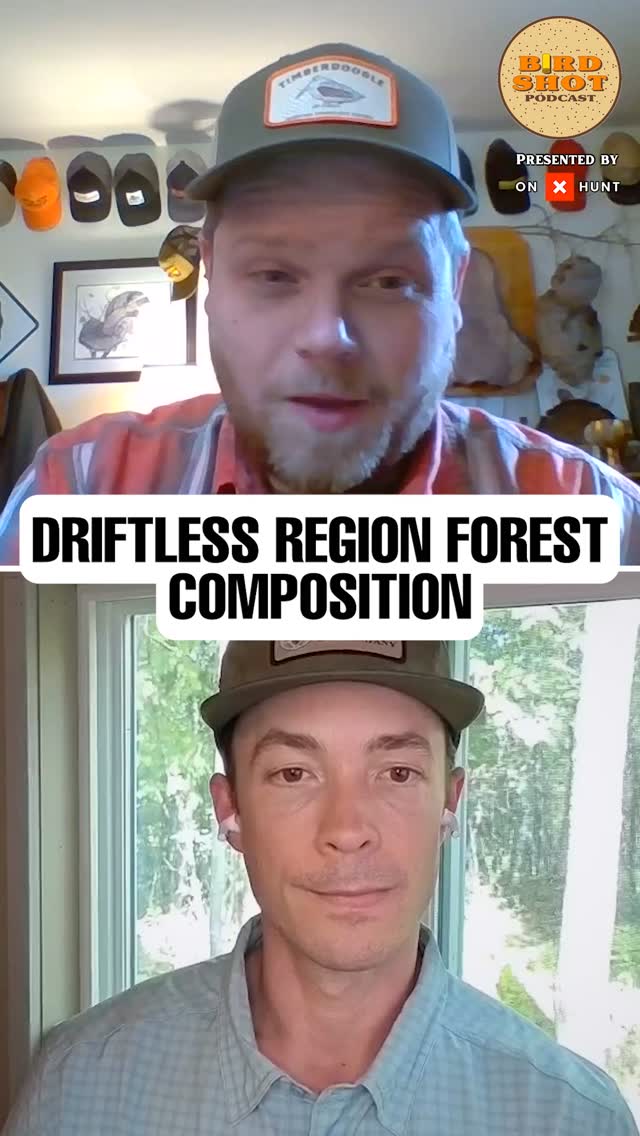 Did you say more public land highways than forest?
In this episode of The Birdshot Podcast, host @nilarson13 sits down with Jon Steigerwaldt to explore the challenges facing grouse in Iowa and the Driftless region.
🎧 Listen to the full episode, link in bio
#ConservationMatters #Forestry #HabitatRestoration #WildlifeManagement #PublicLands #RuffedGrouse #DriftlessRegion #BirdHunting #Biodiversity