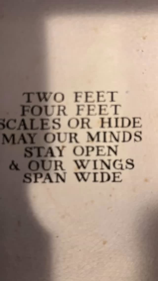 Words make magic
Poetry and praise
Weave your words
Come what may
#sarahbullen #writeyourstory