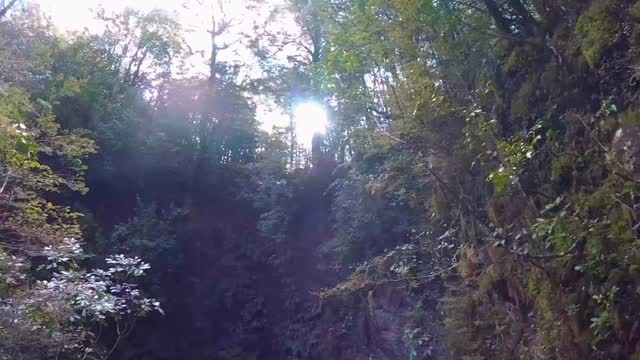 Tui is open for summer! We are ready to take you on a canyoning adventure through Tui Canyon. A perfect family friendly, half day, canyoning tour just outside of Christchurch. https://www.bigrockadventures.co.nz/canyoning-christchurch