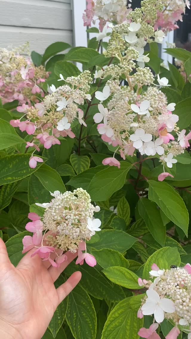 Le bien-être commence quand on ralentit pour observer, respirer et ressentir ✨🌙
RDV: https://www.massotherapielamaison.com