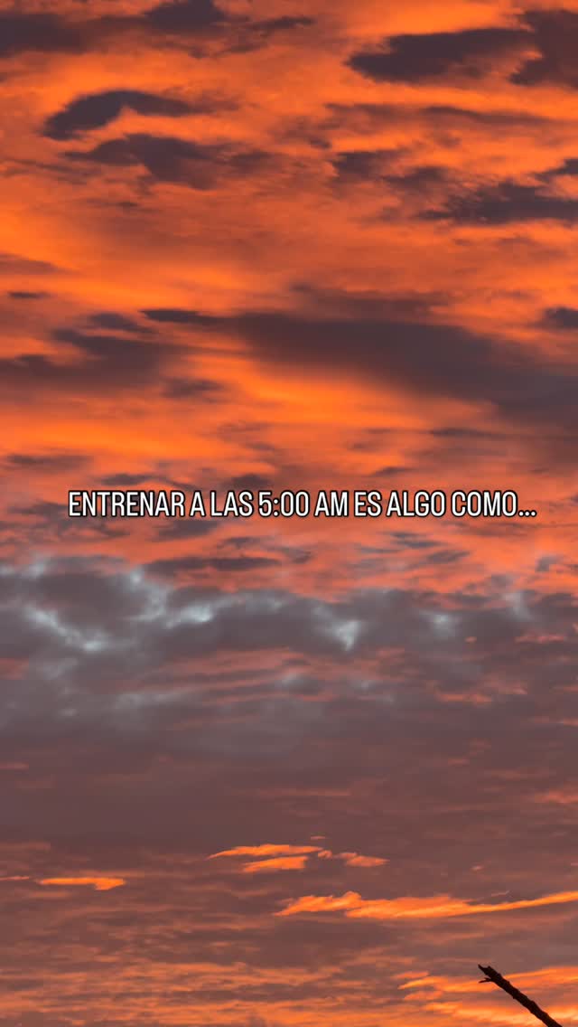 ✨A veces solo necesitas mirar arriba…
Y recordar por qué elegiste este lugar para entrenar.
Cada amanecer en nuestro lugar tiene su propio ritmo, sus propios colores y esa energía que hace que todo valga la pena. 🌅
No es solo una vista… es la forma en que empieza el día.
#workout #amanecer🌅 #morning