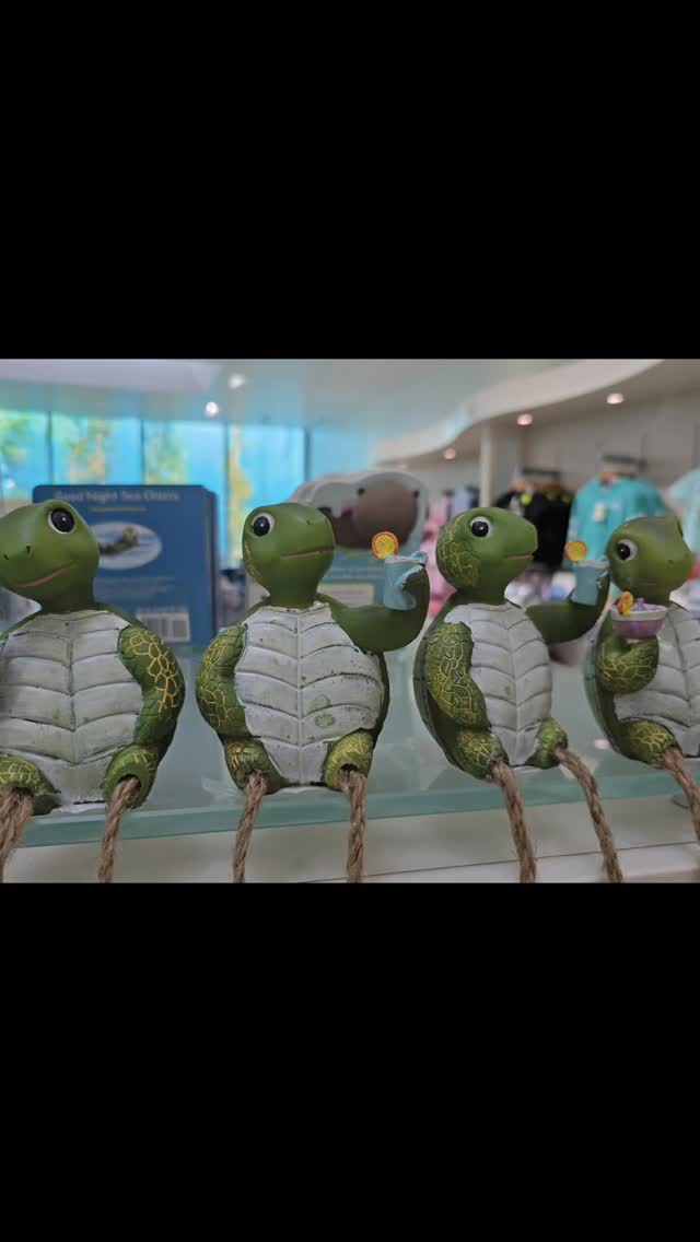 Like a school of fish moving in perfect unity, our team at American Career College creates waves of change. We don't just teach skills-we believe in people when they're making an investment in their lives: betting on themselves.
Every metric of academic excellence we celebrate represents a family impacted, a life transformed, someone stepping onto the front lines of care.
Just like the characters in my upcoming novel, who discover their strength through sacrifice and purpose.
At Acc we mold futures, we dream, we believe when others doubt. That's our job. That's our legacy.
#Song Of Hummingbird Highway #acc #accla #accoc #accontario #believe #transformlives #magicalrealism #debutnovel #fictionwriter #wrìterslife #authentic #growthmindset #chucktaylor #writingcommunity #americancareercollege #authorlife #author ##authorjourney