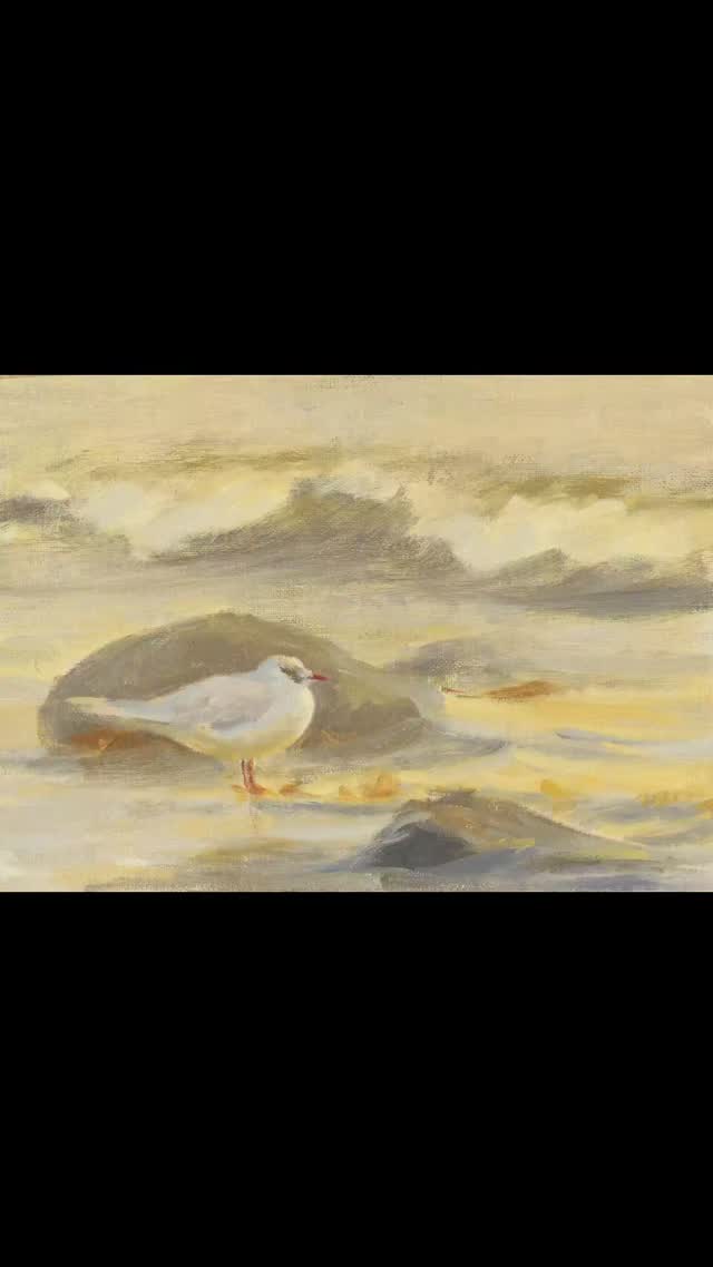 Here they all are: Five new works now showing @birdscapes_gallery 's 20th anniversary exhibition! :)