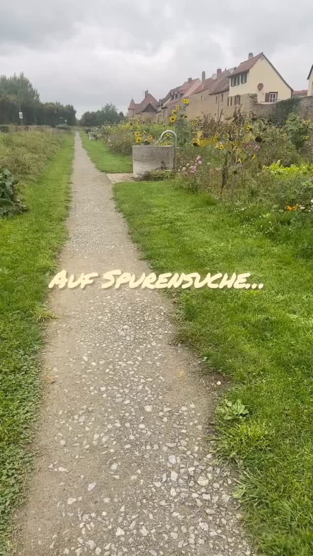 …🔍diesmal in Mainbernheim! Hier durften wir insgesamt 8 Schöpfbrunnen aus Muschelkalk herstellen, die entlang der historischen Stadtmauer aufgestellt wurden. #steinmetz #muschelkalk #gardening #historisch #zeitlos
