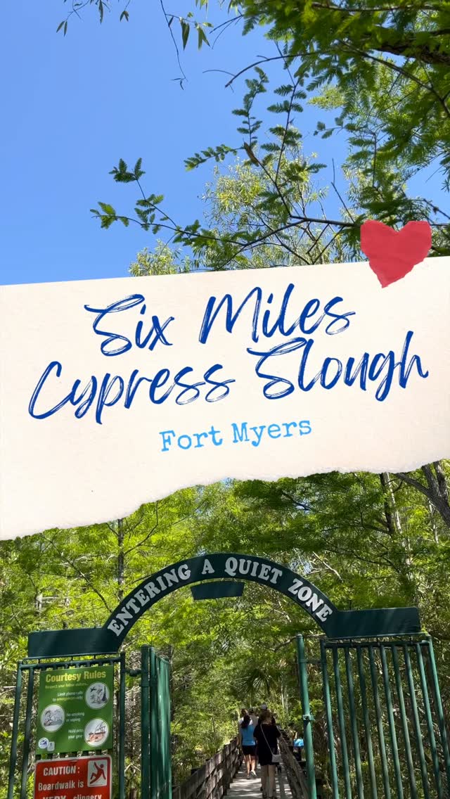 🌺 Six Mile Cypress Slough Preserve: A Must-See for Nature Lovers! 🌺
Looking for a peaceful nature escape while in Fort Myers?
Six Mile Cypress Slough Preserve is your go-to for a serene boardwalk adventure. Whether you’re young or young at heart, this hidden gem is perfect for a slow-paced exploration of Florida’s natural beauty.
Highlights You’ll Love:
• Entrance is FREE – parking is $1 per hour or $5 for the day
• Stroll through shaded trails surrounded by lush greenery 🌿
• Spot turtles, wading birds, and maybe even a gator! 🐊
Travel Tips:
• Best time to visit? Mornings or late afternoons for cooler temps and more active wildlife 🌞
• Don’t forget your camera – the preserve is full of photo ops! 📸
• Pack a light snack and enjoy a relaxing moment at one of the resting spots 🥨
Perfect for travelers of all ages – whether you’re exploring solo or with family, this is a spot you won’t want to miss. 🌸
#fortmyersfl #swfl #floridalife