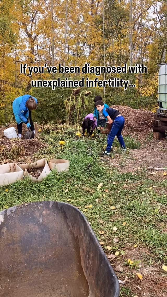 This is the big secret of our preconception care program!
#infertility #preconceptioncare #functionalmedicine #holistichealth #womenshealth