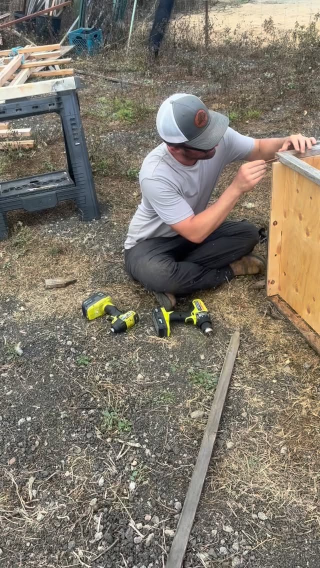 For the first time ever, we are raising meat birds at City Farm. These birds are being thoughtfully integrated into our regenerative practices and will be grown with care. Reserve yours today at the link in our bio. All sales directly support our youth education programs.
#responsiblefarming #regenerativefarming #pastureraised