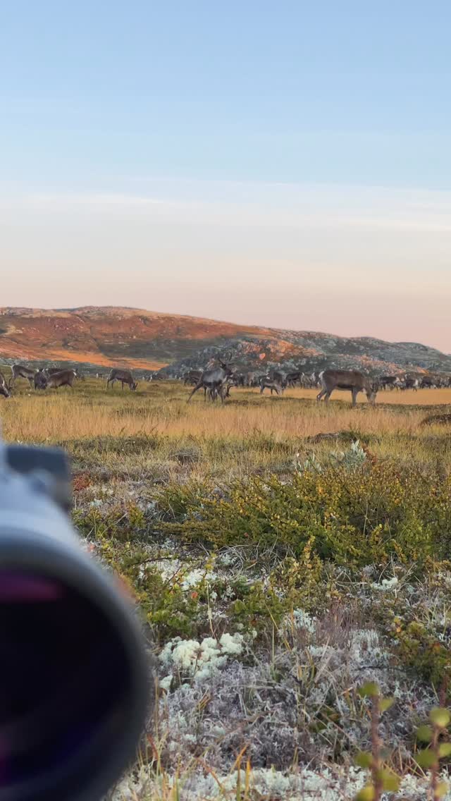 Until next season 🦌⛰️