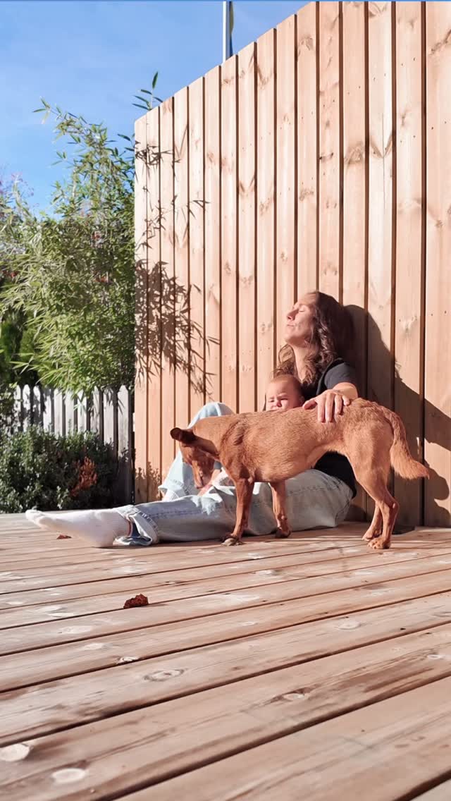 Pauserna imellan, det är väl ändå de som räknas? Alltså på riktigt ♥️
Glöm inte att ta in allt fantastiskt runt omkring dig trots att livet snurrar på alldeles för fort.
Andras in.
Andras ut.
Andas in.
Andas ut.
Ta den där stunden om så vara någon min. Världen stannar inte för det ♥️
#aikitastudio #yogastockholm #yogautanförmattan #yogainspiration #höstdag #höstmedbarn