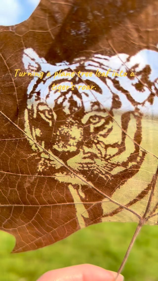 The jungle hidden in a leaf. 🍁🌳🌳🌳🌳🐅#leafart #natureinspired #natureart #leafcarving #christmasgiftideas #uniquegifts #tiger #wildlife
