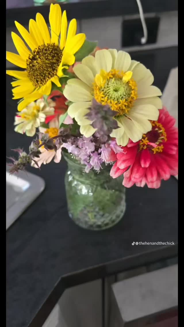 🥹🥹 just beautiful
#thehenandthechick #smallbusiness #smallfarm #plants #greenhouse #plantsofinstagram #flowers #simplepleasures