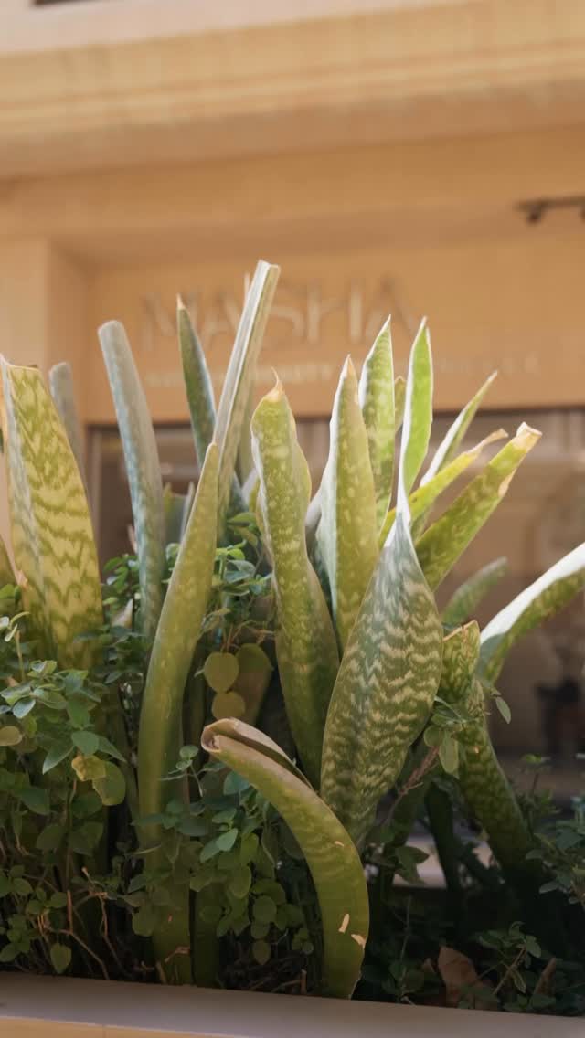 #aestheticclinic
#beautyclinic
#dubaiclinic
#skincareclinic
#drmasha
#cosmeticclinic
#dubaiskin
#facecare
#skinexpert
#beautydubai