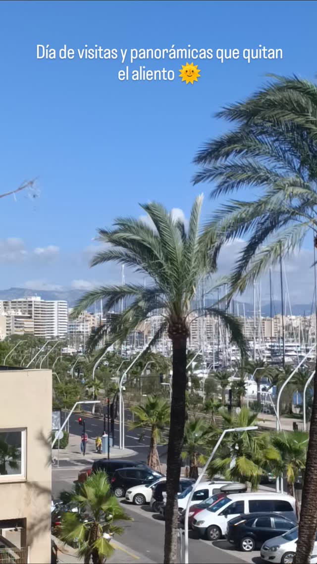 #prestigespain #mallorca #inmobiliariamallorca #luxuryrealestatemallorca #vistasdepalma #palmavibes #palmamoments