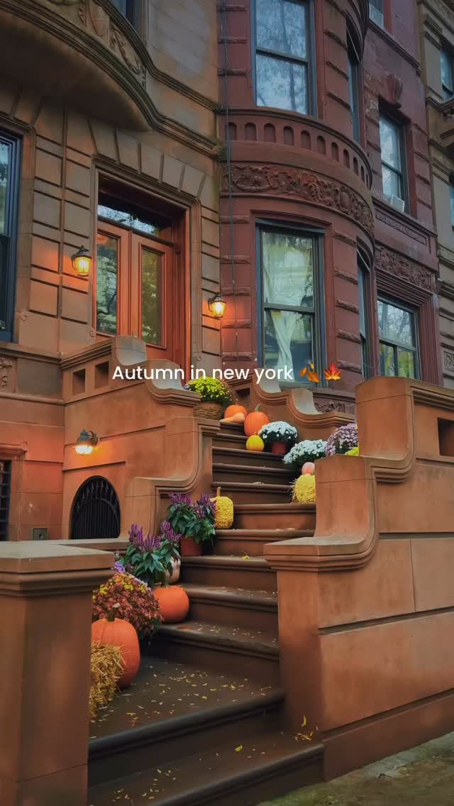 🍁Autumn is there. Who loves nyc in the fall?
Video ariffathulhakim
#autumn #fall #autumnvibes #newyork #newyorkcity