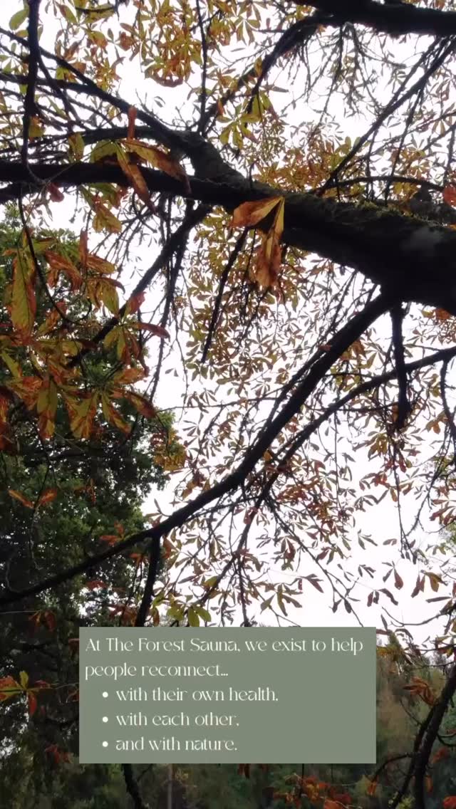 At The Forest Sauna, we exist to help people reconnect …
with their own health,
with each other,
and with nature. 🌲✨
Because when we feel well, we live well — and that thriving naturally ripples outward, touching everyone around us 🫶
Through small, intentional lifestyle changes, incredible things can happen. The science confirms what ancient wisdom always knew:
Regular sauna and cold therapy support not only physical health but also mental clarity, resilience, and emotional balance 💞🌲💫
By bringing these practices into the forest — combining heat, cold, and the calm of the trees — we offer a simple, accessible way to return to yourself, to your breath, and to the beauty of being alive. 🌿💛
You can book your private sauna experience directly via our website. And if you’d like upgrade your experience with a nourishing meal, DM us 🫶💫
Or, if you’d like to share the gift of warmth and stillness, Forest Sauna gift cards are also available online.
✨ Wellness, connection, and nature — all waiting for you at The Forest Sauna & @happyriverretreat .
#forestsauna #dorset #familytime❤️ #coldpunge #coldwaterimmersion #saunauk #dorsetretreat #warehamforest