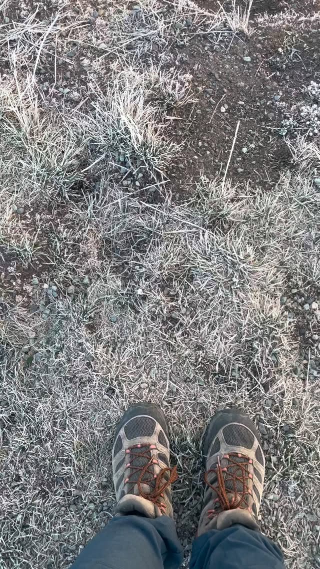 This is the scene that greeted us this morning in Hayden Valley. It was breathtaking. Shortly after this, we viewed a pack of wolves on the move. That was exciting. Autumn in Yellois spectacular.
Photograph What You Feel#travelphotography #travel #naturebrilliance #naturelovers #photographwhatyoufeel #naturelover #yellowstonenationalpark #wildlife #sunrise #sunriseoftheday #sunrise_sunset_photogroup #nature #lightsandshadows #life #outdoors #outdoorlife #peaceful #lovelife