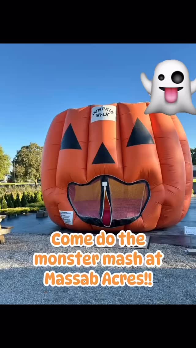It’s spooky season, and we’ve got everything you need to celebrate in true fall fashion! 🍂 Stop by for:
🧡 Gorgeous mums in full bloom
🎃 Pumpkins big and small
🌾 Bales of straw & cornstalks
🍎 apples, cider & donuts
🕸️ Halloween decorations
Bring the whole family — jump in the Jumping Pumpkin, stroll through our Haunted Garden, snap some photos, and make some memories! 📸
It’s also the perfect time to plant trees and shrubs to spruce up your yard before winter hits. Our landscape designer can help you plan it out, and our crew can bring your vision to life. 🌳✨
Come see us this weekend — we can’t wait to see you! ❤️
#MassabAcres #ShopLocal #FamilyFun #HalloweenAtMassab #PumpkinPatch #HauntedGarden #JumpingPumpkin #MumsTheWord #FallVibes #AppleCiderAndDonuts #LandscapingMadeEasy #LearnWithShayna #downrivermichigan #taylormichigan #familytime #farmlife #MomLife #Halloween #fall #pumpkinpatch