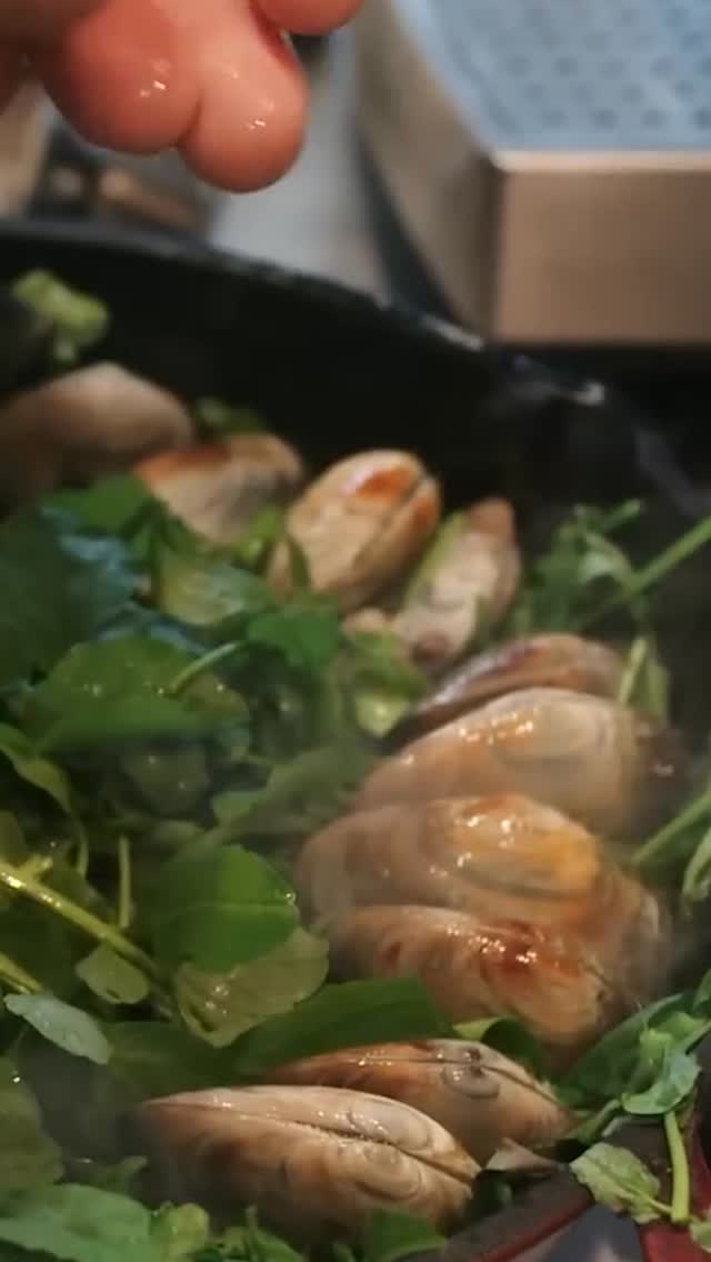 How do you cook your pāua🍱
Tūturu te noho
Tūturu te hono
Tūturu ake nei
Mō Kā Uri | Kāi Tahu 2050