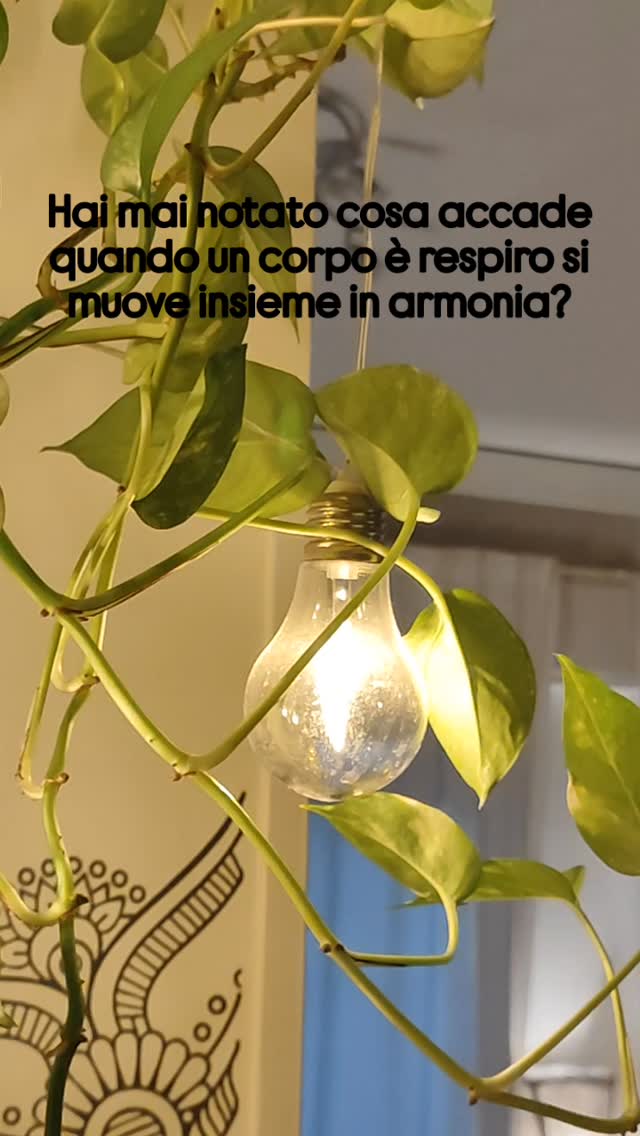 Quando il movimento incontra il respiro, qualcosa dentro di noi cambia.
La mente si libera, il corpo si rinnova, la luce ritorna. 🌬️✨
Prova la magia dello yoga — tutto comincia da un respiro.
👉 Prenota la tua lezione di prova.
☎️ +393358716785
📍 Ashtanga Shala Sicilia - Via della libertà 56 Palermo
🌐 www.ashtangashalasicilia.com
#ashtangayoga #yogapertutti #yogajourney #yogaitalia #ashtanga #yogapractice #yoga #ashtangateacher