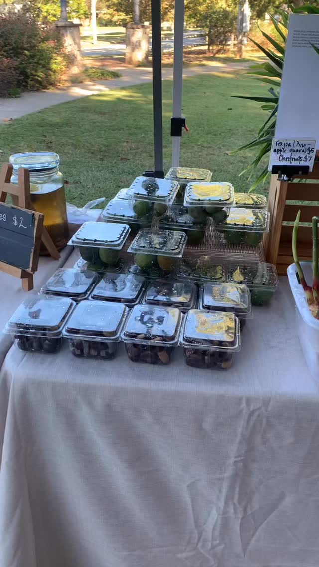 Come on out to Marigold Market for Georgia grown apples!! We have a beautiful table today y’all!