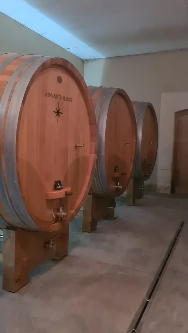 It takes massive oak to make legendary Champagne! Ready for a taste of the extraordinary?
#champagne #champagnelover #luxurylifestyle #champagnelovers #champagnelife #champagneaddict #champagnesecret #champagnemoment #luxurystay #privatetours #privatechampagnetours #gastronomy #champagneluxurytrip