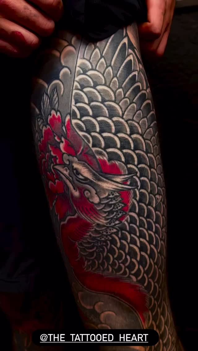 Japanese Tattooing by @adamcraft.tattoo thanx Jordy
.
New clients welcome - now’s the time!
Email: tattoos@thetattooedheart.co.nz
#tattoo #tattoos #tattooing #adamcraft #adamcrafttattoo #tattooart #sleeve #sleevetattoo #japanesesleeve #wabori #japanesetattoo #japanesetattoos #youtube #japanesetattooing #coveruptattoos #blacktattoos #bodysuittattoo #professionaltattoo #love #thetattooedheart #auckland #flash #newzealand #newzealandtattoo #getabodysuit #aucklandtattoo #irezumi #tattooflash #thetattooedheartnz
Walk-ins/Bookings - Custom/Flash:
(09)3792662
WE❤️TATTOOS!