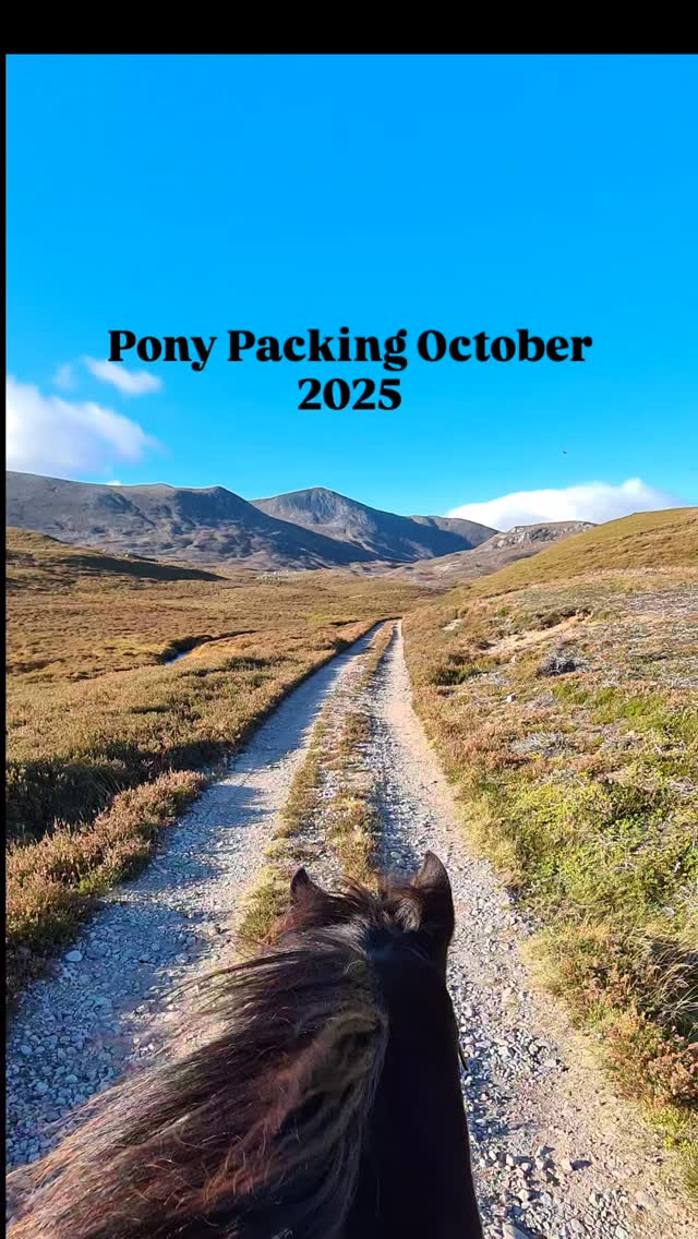 A night out with the coolest adventure buddies. I love travelling with them - it feels like you're moving with nature rather than through it. The rhythmic beat of their hooves belongs there, and calms the soul.
#ponypacking #poniesofinstagram #adventure #scotland #cairngorms #bothy